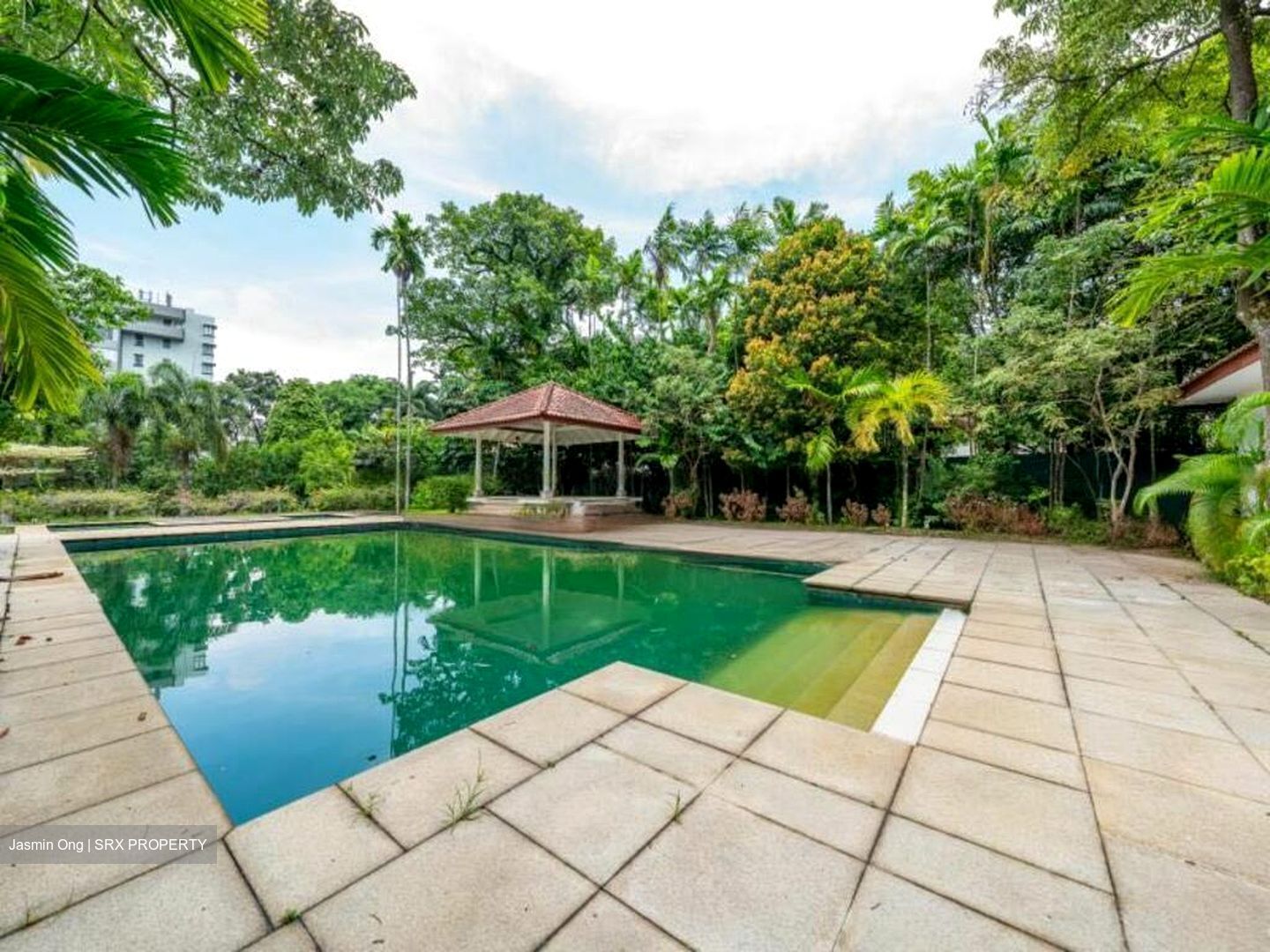 Nassim Road (D10), Detached #467992961